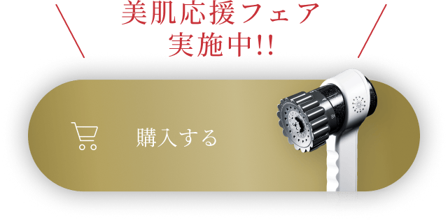 購入する