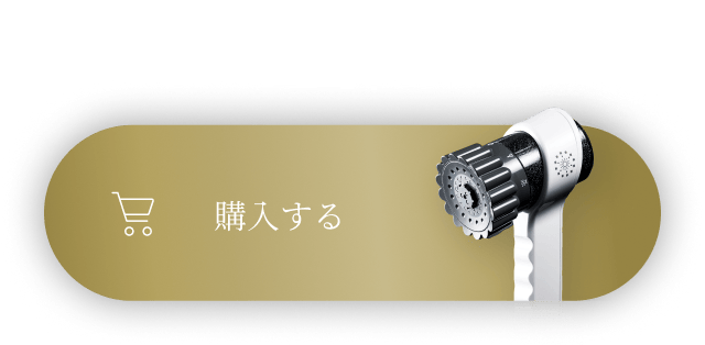 購入する