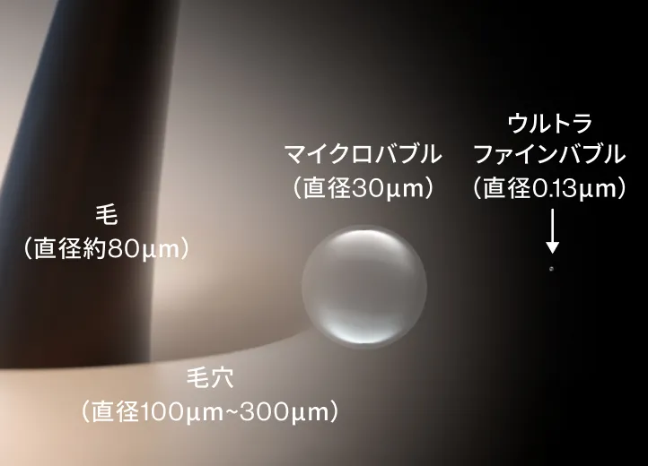 毛穴（直径100μm~300μm） 毛（直径約80μm） マイクロバブル（直径30μm） ウルトラファインバブル（直径0.13μm）